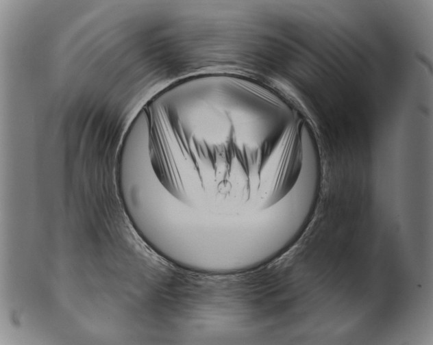 X0000099421284200806060946