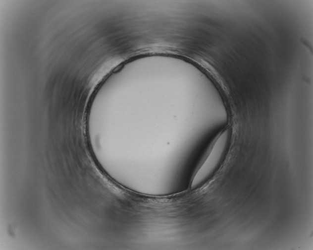 X0000099421285200806060946