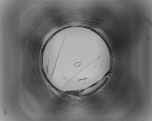 X0000099421286200806060946