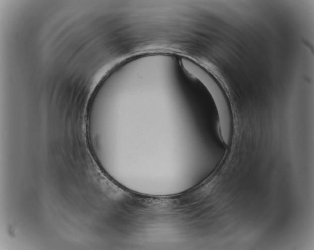 X0000099421288200806060946