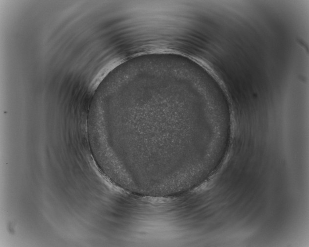 X0000099421289200806060946
