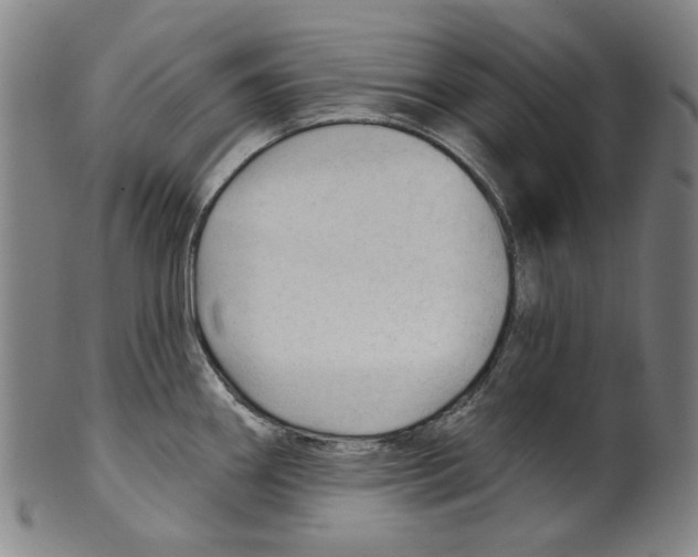 X0000099421290200806060946