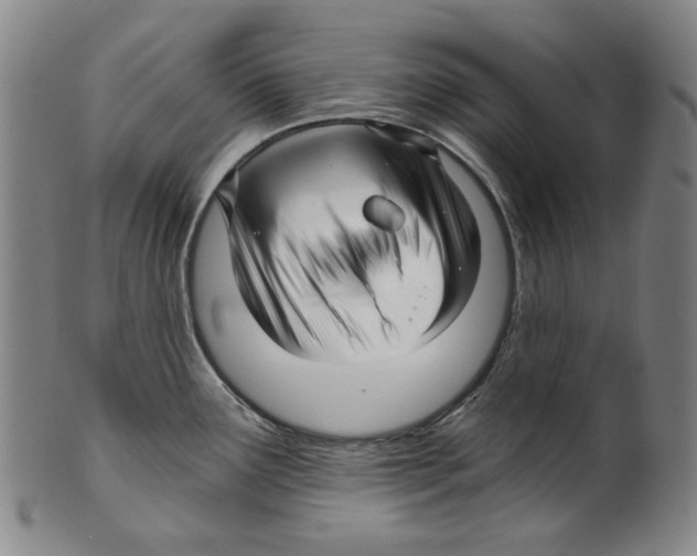 X0000099421291200806060946