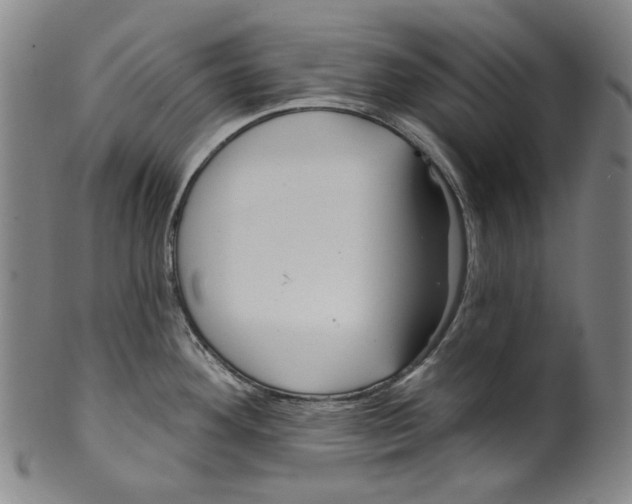X0000099421292200806060946