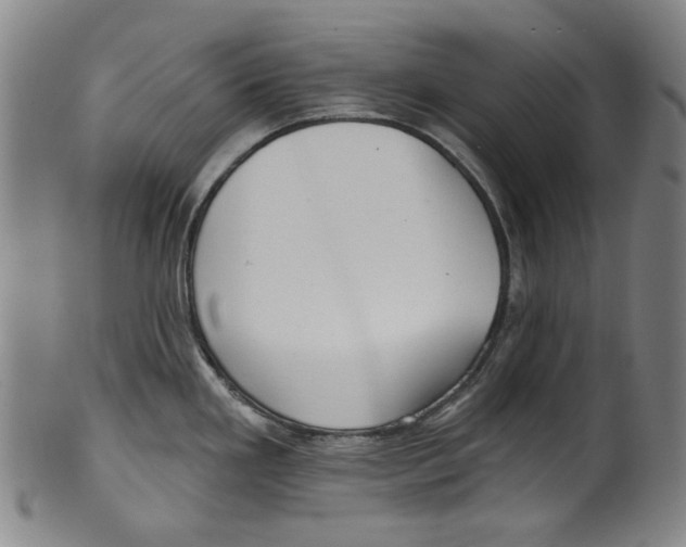 X0000099421293200806060946