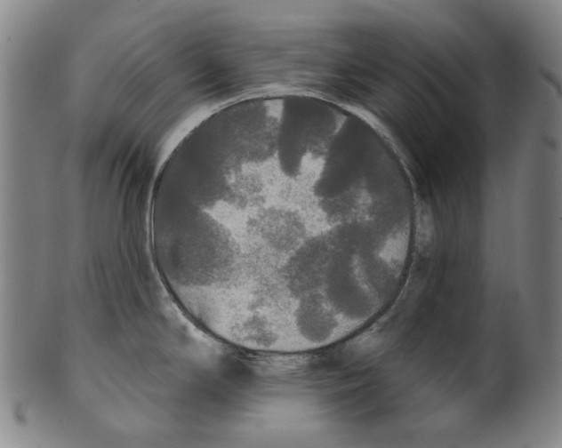 X0000099421294200806060946