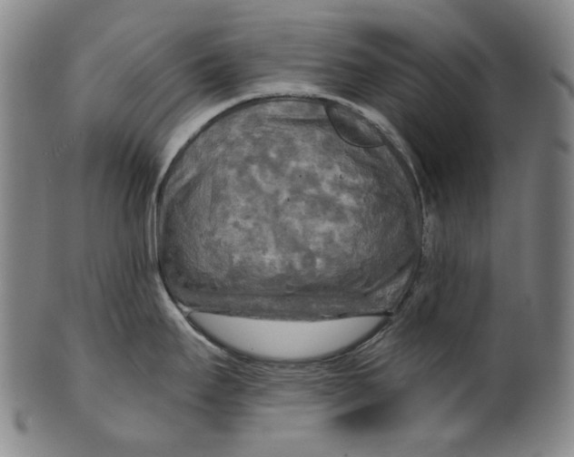X0000099421295200806060946