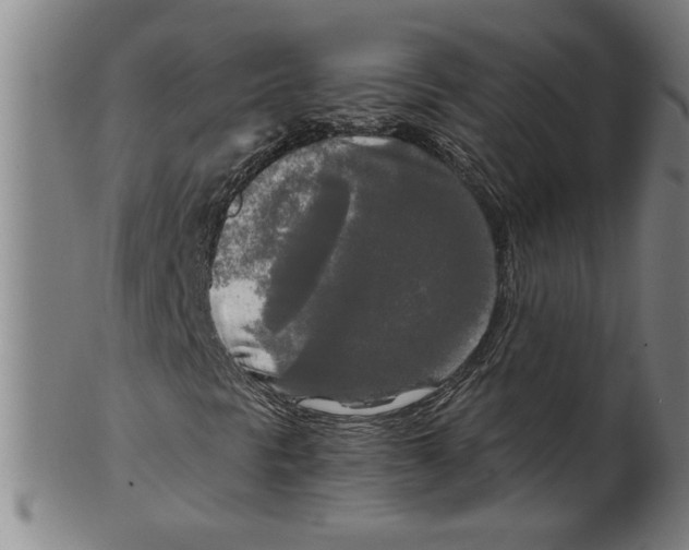 X0000099421297200806060945
