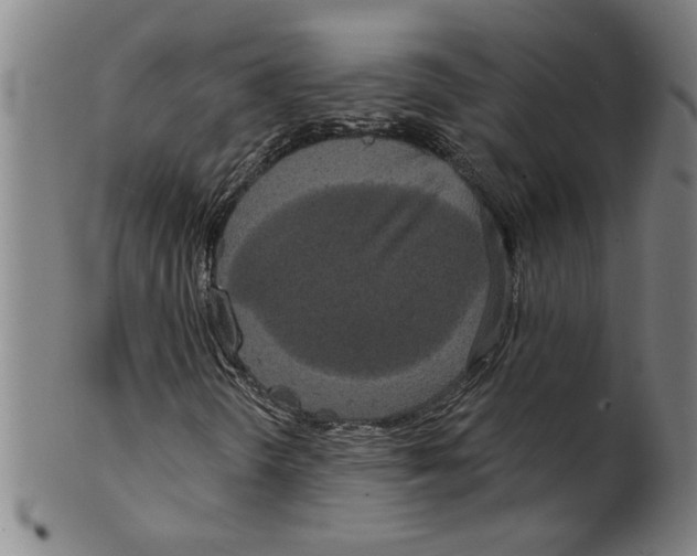 X0000099421298200806060946