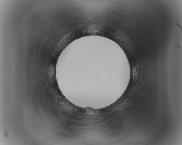 X0000099421299200806060946