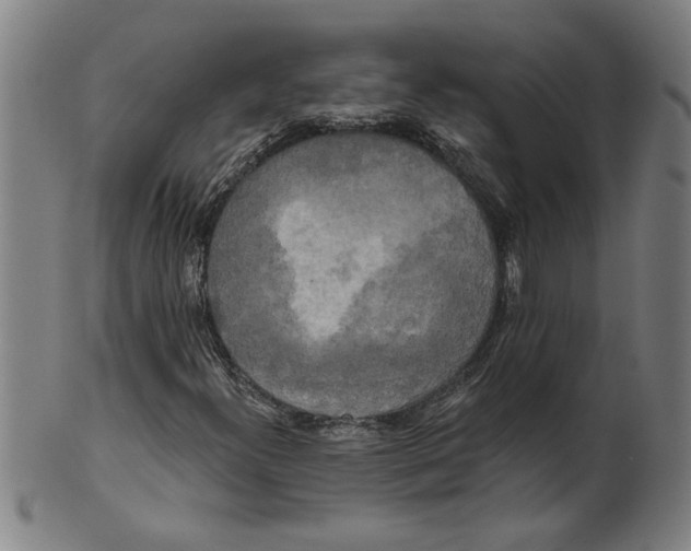X0000099421300200806060946