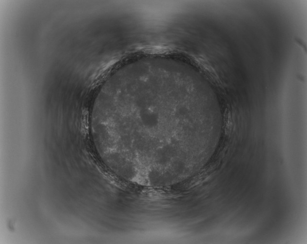 X0000099421301200806060946