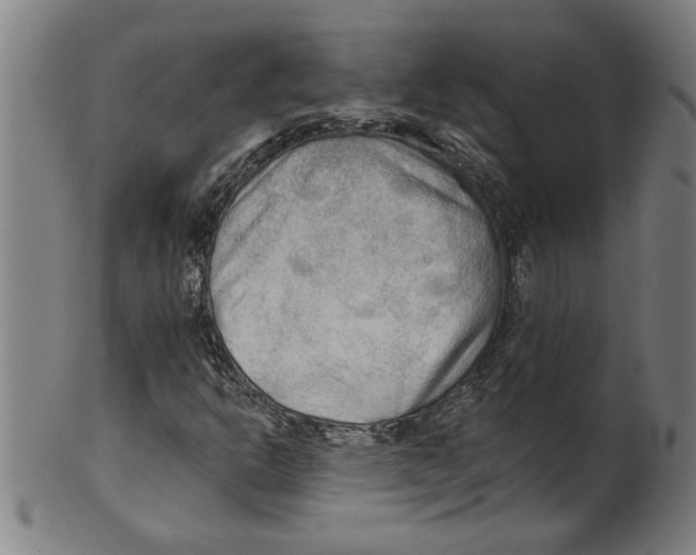 X0000099421302200806060946