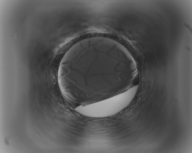 X0000099421303200806060946