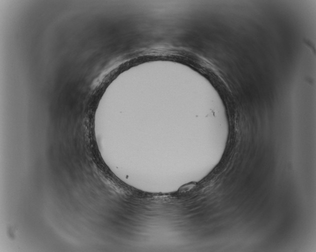 X0000099421304200806060946