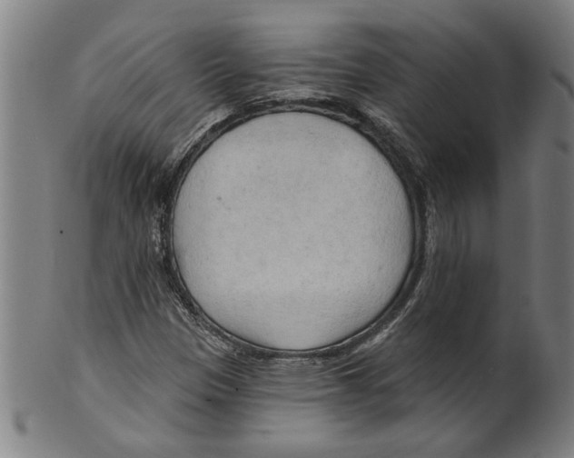 X0000099421305200806060946