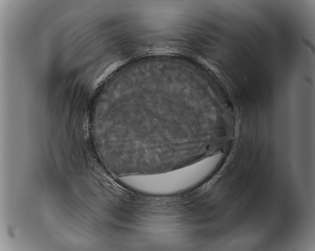 X0000099421306200806060946