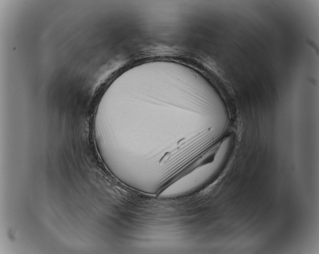 X0000099421309200806060946