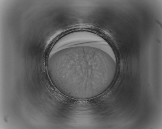 X0000099421310200806060946