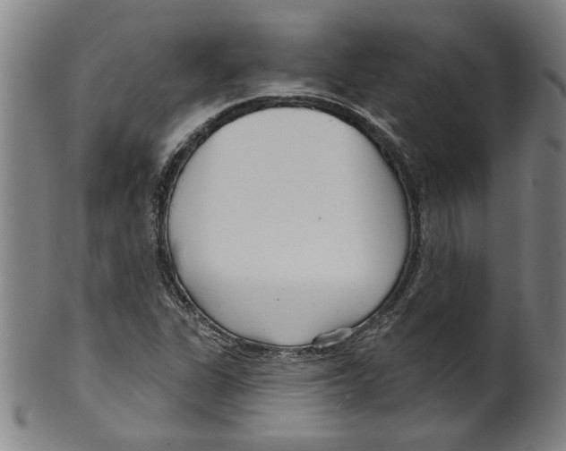 X0000099421311200806060946