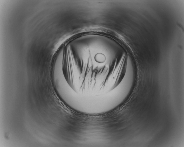 X0000099421312200806060946
