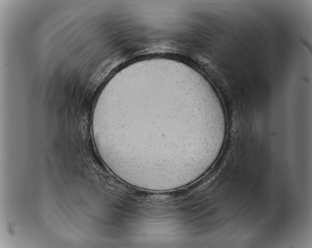 X0000099421313200806060946