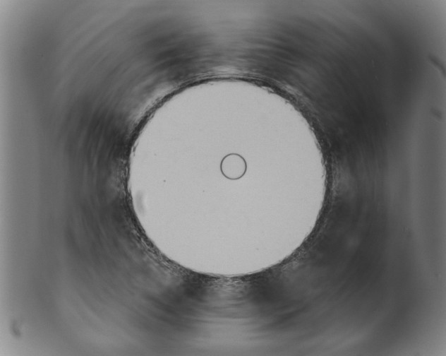 X0000099421314200806060946
