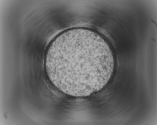 X0000099421316200806060946