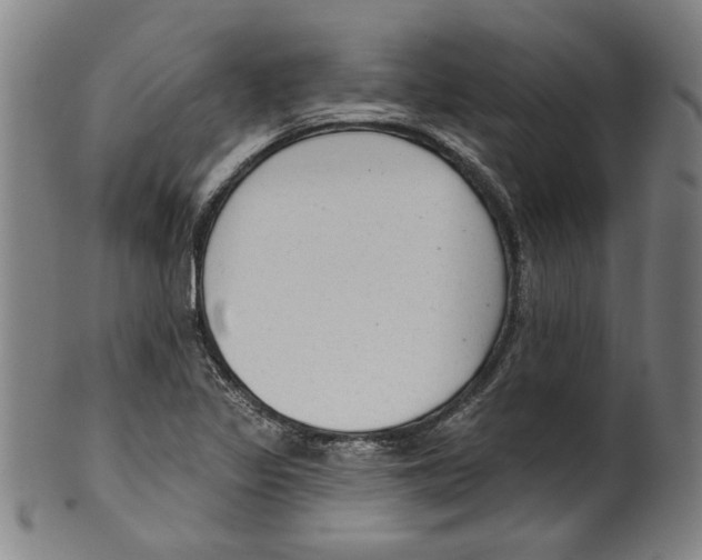 X0000099421317200806060946