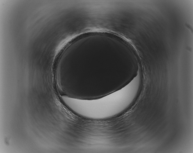 X0000099421319200806060946
