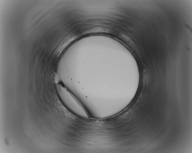 X0000099421321200806060946