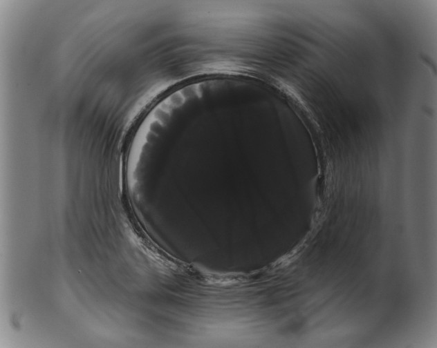 X0000099421323200806060946