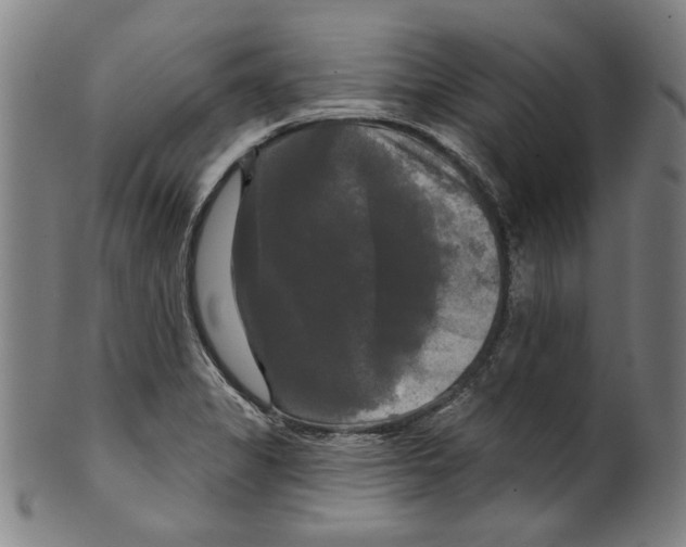 X0000099421325200806060946