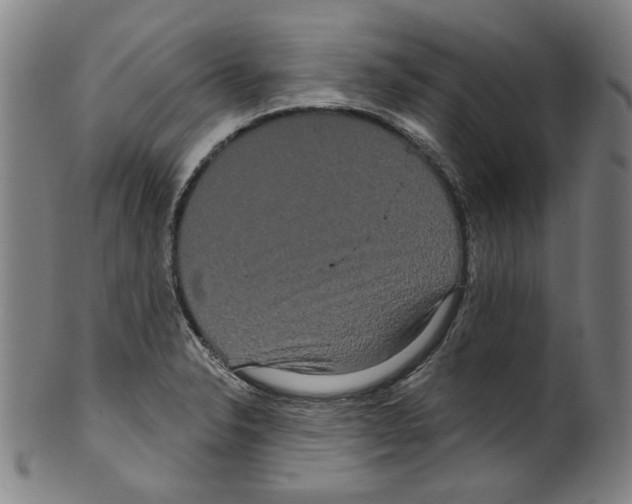 X0000099421326200806060946