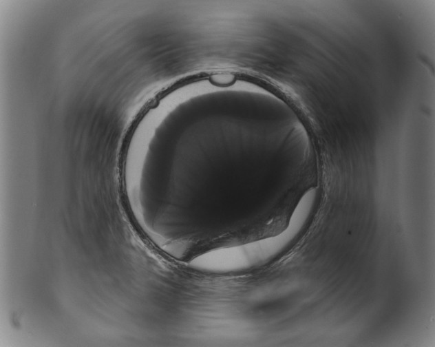 X0000099421327200806060946