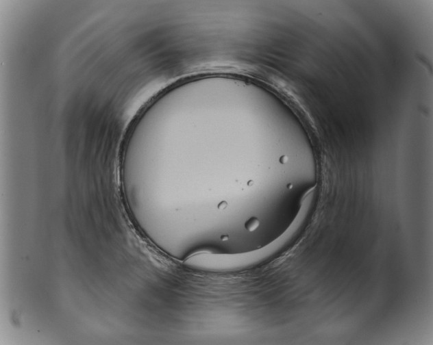 X0000099421328200806060946