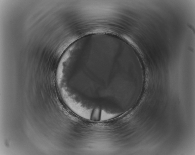 X0000099421329200806060946
