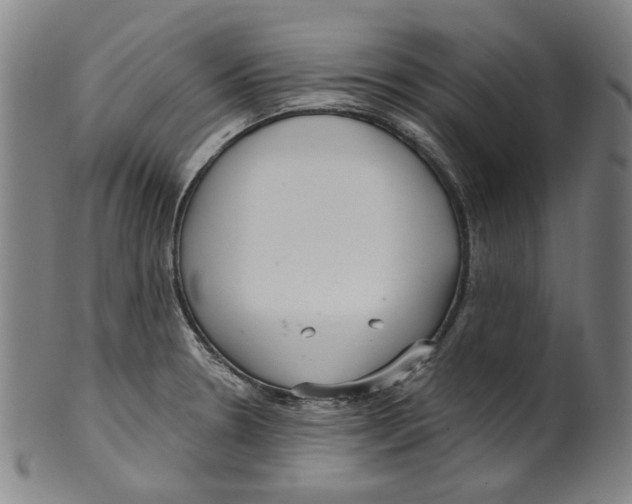 X0000099421330200806060946