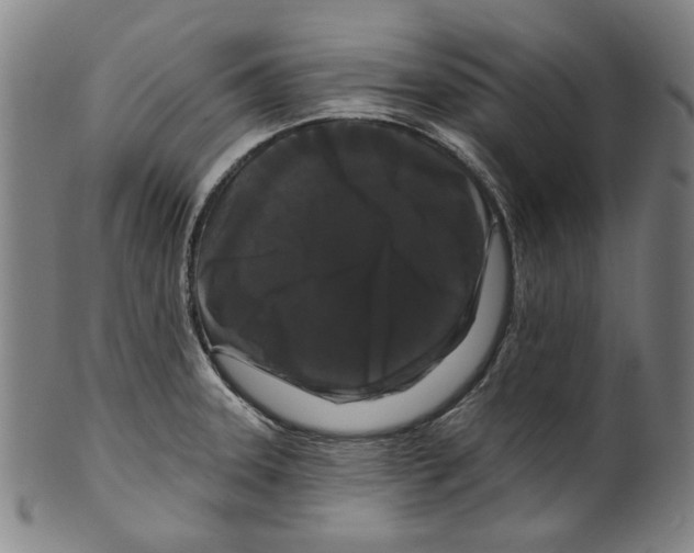 X0000099421331200806060946