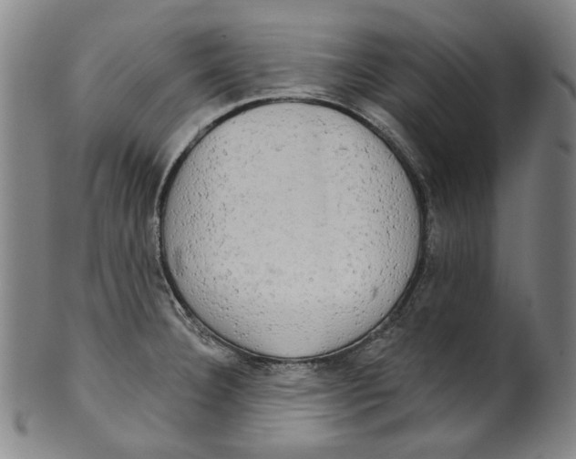 X0000099421332200806060946