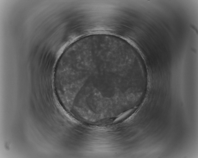 X0000099421333200806060946