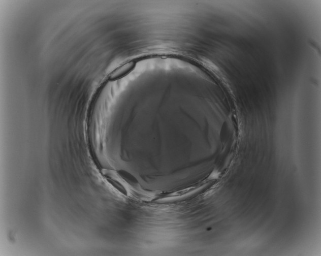X0000099421334200806060946