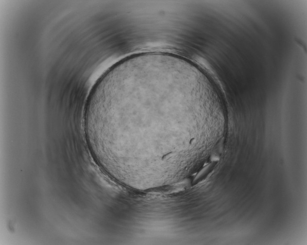X0000099421336200806060946