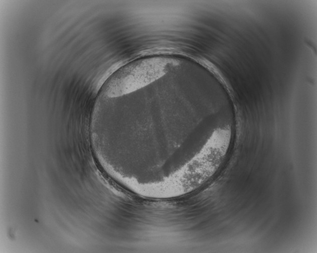 X0000099421337200806060946
