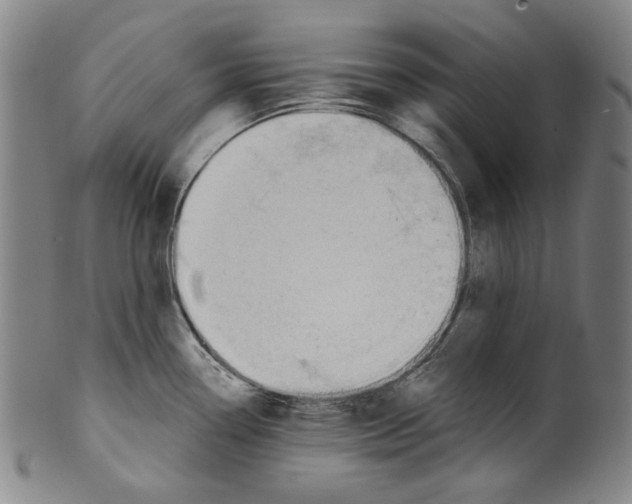 X0000099421338200806060946