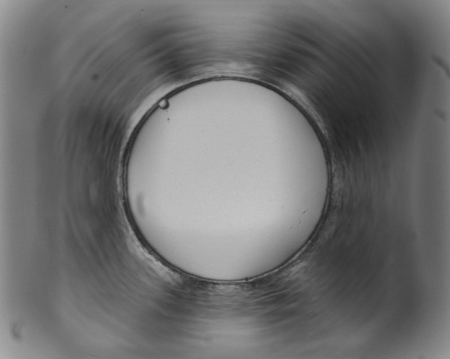 X0000099421339200806060946