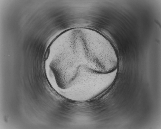 X0000099421340200806060946