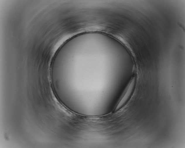 X0000099421342200806060946