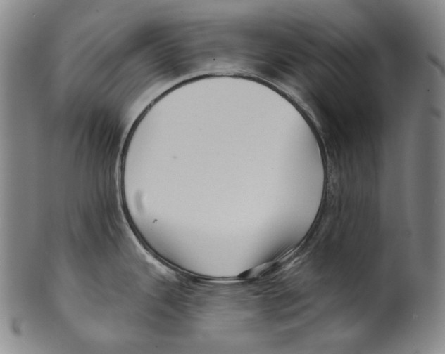 X0000099421343200806060946