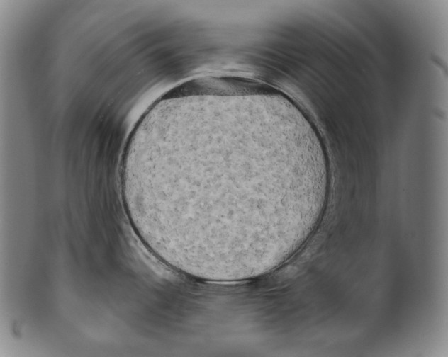 X0000099421344200806060946